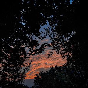 插阴道视频性感网站
